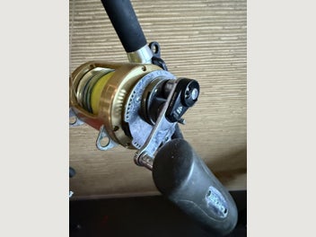 Image 1 of 7