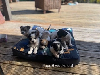 Image 1 of 12
