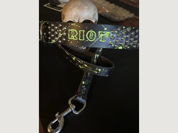 Image 1 of 14