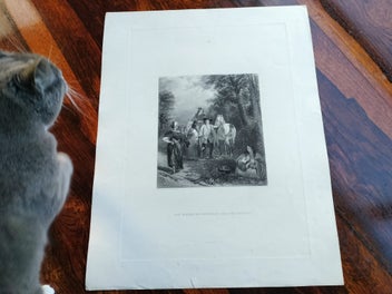 Image 1 of 9