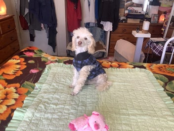 Image 1 of 20