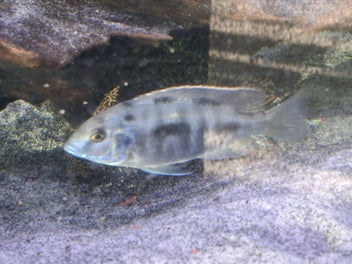 Image 1 of 10