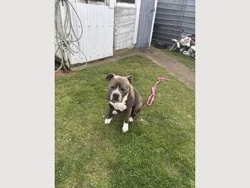 Image 1 of 12