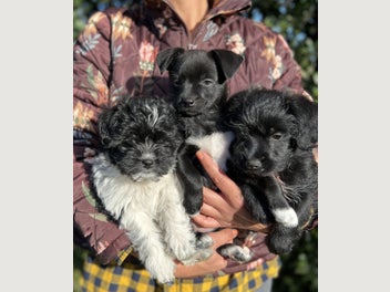 Image 1 of 6