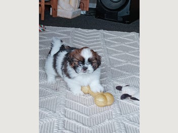 Image 1 of 9