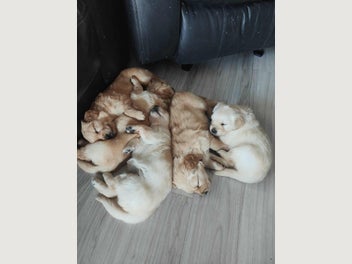 Image 1 of 15