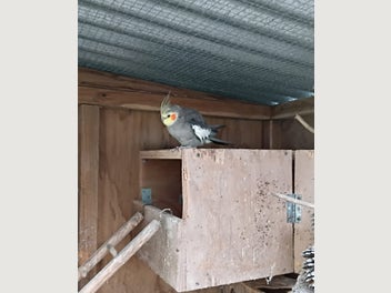 Image 1 of 4