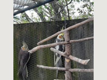 Image 1 of 7