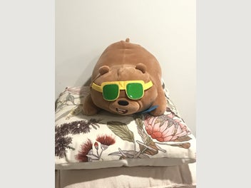 Image 1 of 3
