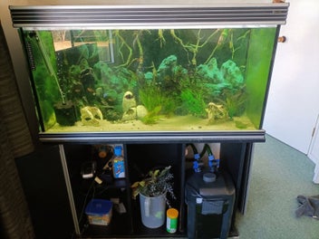 Image 1 of 5