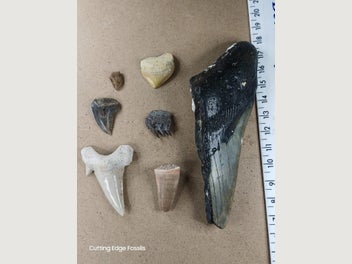 Image 1 of 20
