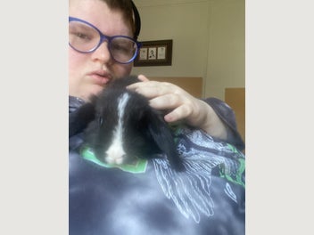Image 1 of 11