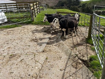 Image 1 of 4