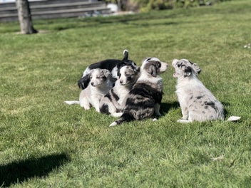 Image 1 of 6