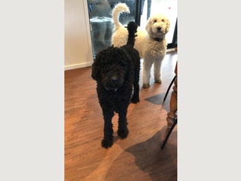 Image 1 of 7