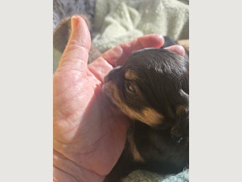 Image 1 of 15