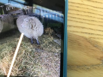 Image 1 of 7