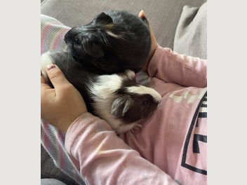 Image 1 of 8