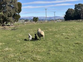Image 1 of 1
