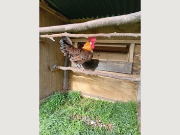 Image 1 of 5