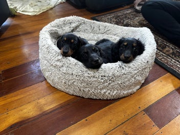 Image 1 of 6