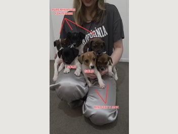 Image 1 of 20