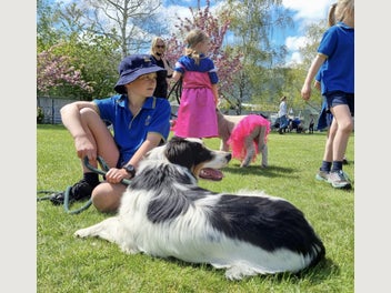 Image 1 of 11