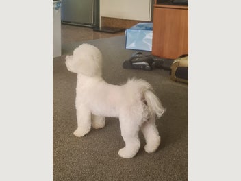 Image 1 of 14