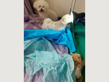 Image 1 of 12