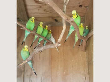 Image 1 of 15
