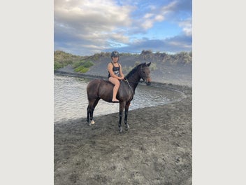 Image 1 of 11