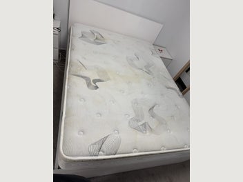 Image 1 of 16