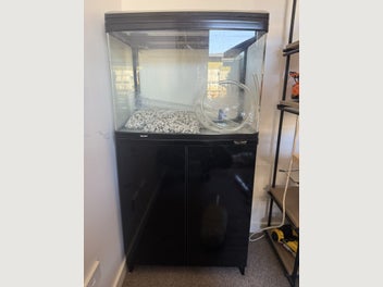 Image 1 of 11