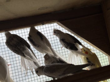Image 1 of 14