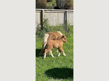 Image 1 of 7