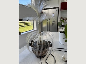 Image 1 of 10