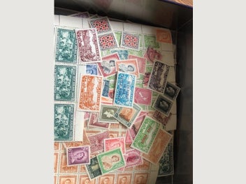 Image 1 of 13
