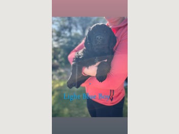 Image 1 of 10
