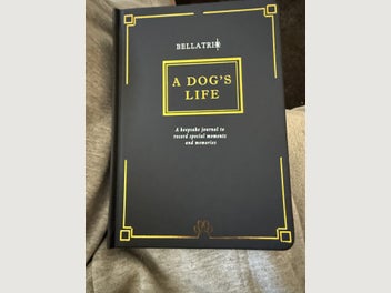 Image 1 of 14