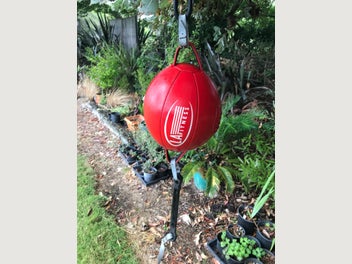 Image 1 of 4