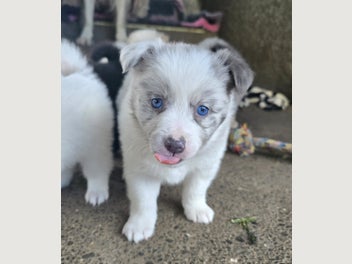 Image 1 of 17