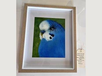 Image 1 of 5