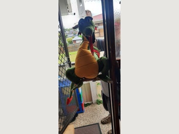 Image 1 of 1