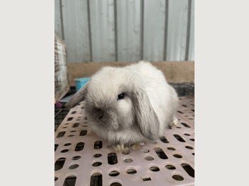 Image 1 of 8