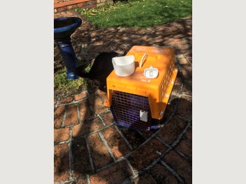 Image 1 of 4