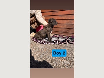 Image 1 of 18