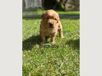 Image 1 of 18