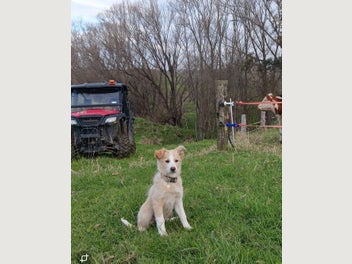 Image 1 of 8