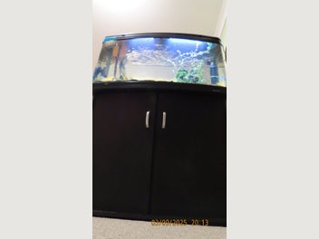 Image 1 of 11