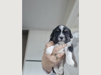 Image 1 of 6